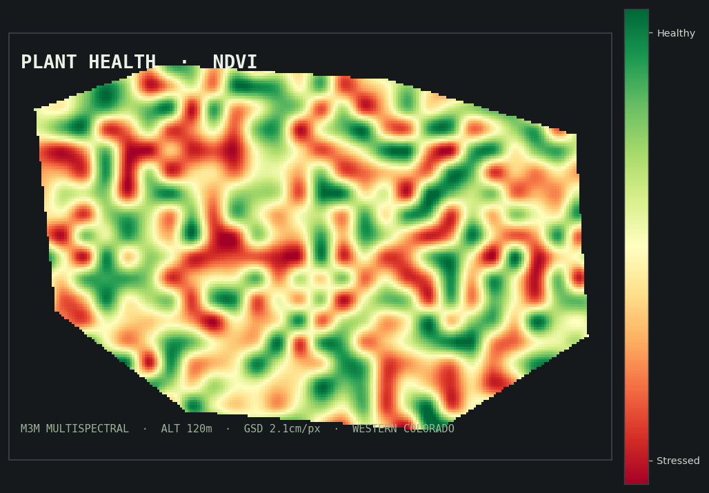 NDVI plant-health map from multispectral drone