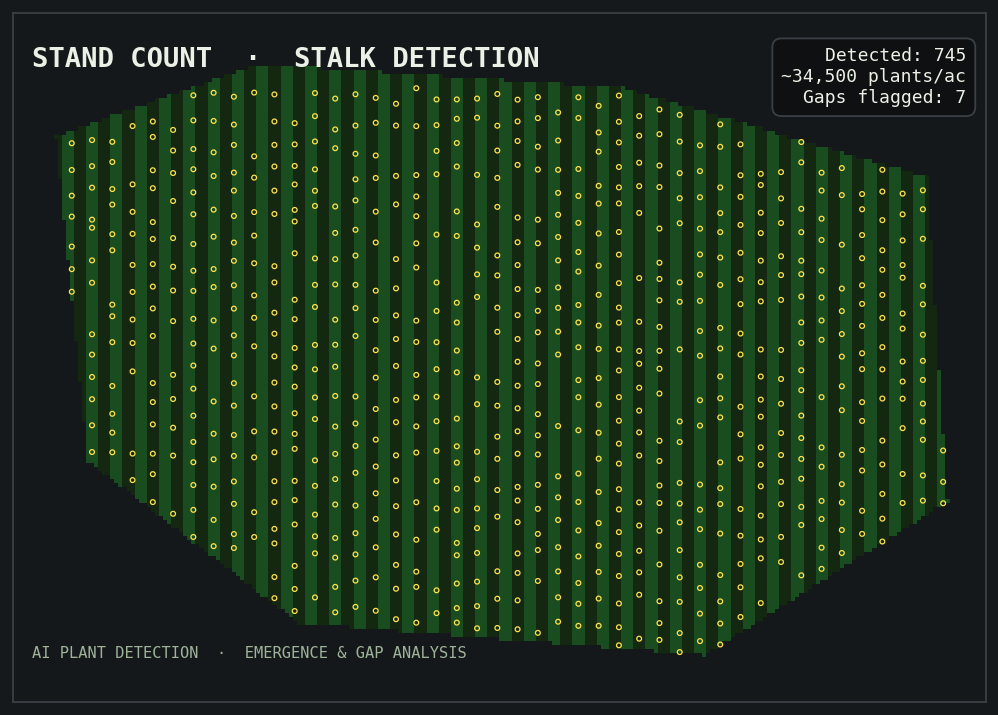 Stand count and stalk detection map